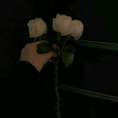 绝对终幕计画游戏下载